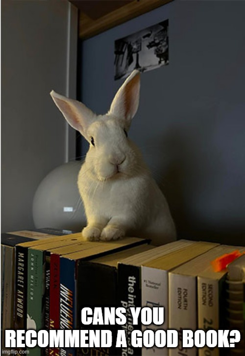 Bunny Book | CANS YOU RECOMMEND A GOOD BOOK? | image tagged in bunnies | made w/ Imgflip meme maker