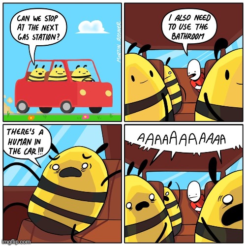 HUMAN | image tagged in bees,bee,human,gas station,comics,comics/cartoons | made w/ Imgflip meme maker