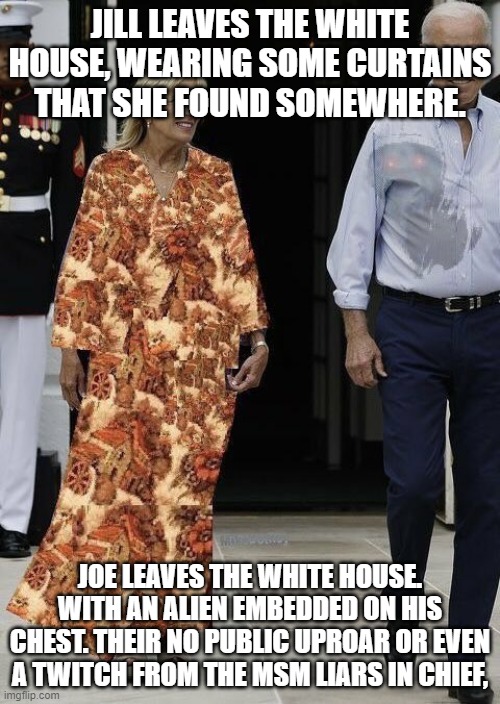 Drapes and Ghostbusters | JILL LEAVES THE WHITE HOUSE, WEARING SOME CURTAINS THAT SHE FOUND SOMEWHERE. JOE LEAVES THE WHITE HOUSE. WITH AN ALIEN EMBEDDED ON HIS CHEST. THEIR NO PUBLIC UPROAR OR EVEN A TWITCH FROM THE MSM LIARS IN CHIEF, | image tagged in drapes and ghostbusters | made w/ Imgflip meme maker