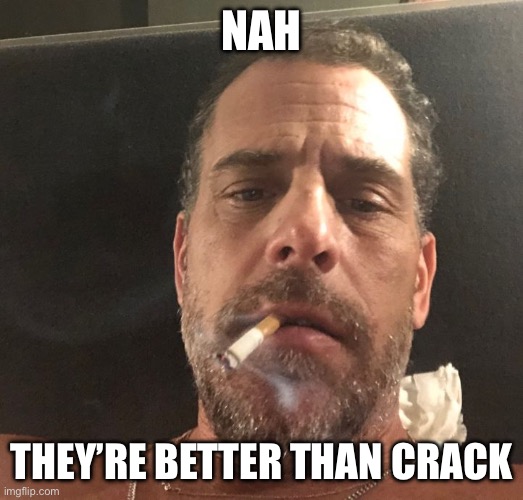 Hunter Biden | NAH THEY’RE BETTER THAN CRACK | image tagged in hunter biden | made w/ Imgflip meme maker