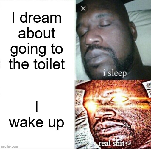 fr | I dream about going to the toilet; I wake up | image tagged in memes,sleeping shaq | made w/ Imgflip meme maker