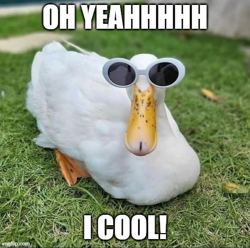 Cool Duck | OH YEAHHHHH; I COOL! | image tagged in ducks | made w/ Imgflip meme maker