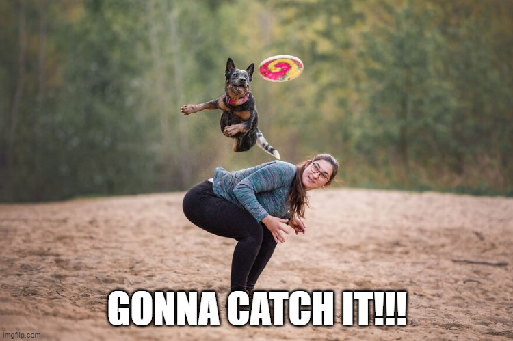 Catch | GONNA CATCH IT!!! | image tagged in dogs | made w/ Imgflip meme maker