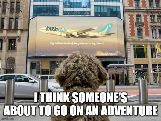 Fly Away Dog | I THINK SOMEONE'S ABOUT TO GO ON AN ADVENTURE | image tagged in dogs | made w/ Imgflip meme maker