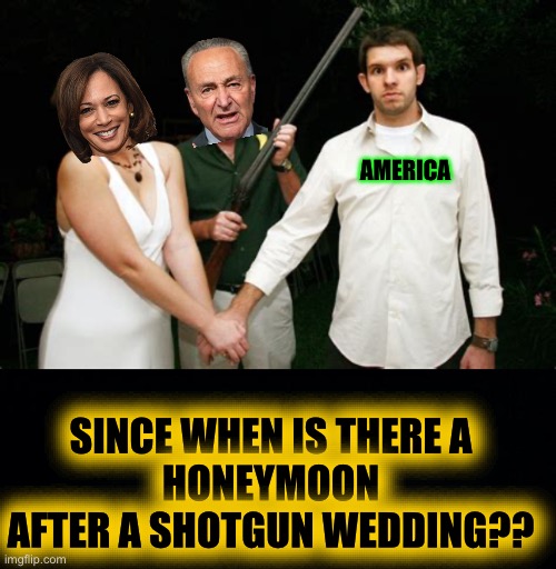 Kamala’s “Honeymoon”, My Ass | AMERICA; SINCE WHEN IS THERE A
HONEYMOON
AFTER A SHOTGUN WEDDING?? | image tagged in honeymoon,kamala,phony baloney | made w/ Imgflip meme maker