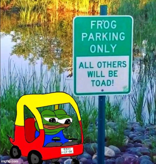 Nobody wants to get toad | image tagged in eyeroll,bad pun | made w/ Imgflip meme maker