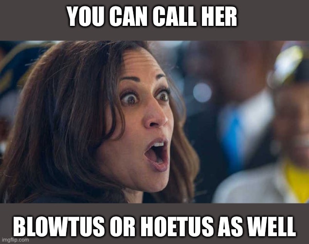 kamala harriss | YOU CAN CALL HER BLOWTUS OR HOETUS AS WELL | image tagged in kamala harriss | made w/ Imgflip meme maker