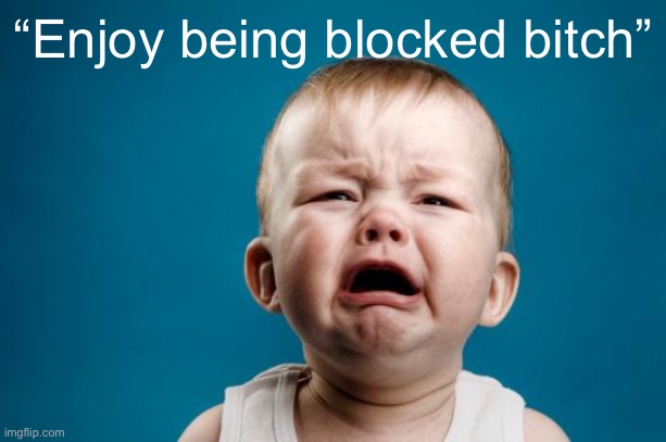 BABY CRYING | “Enjoy being blocked bitch” | image tagged in baby crying | made w/ Imgflip meme maker