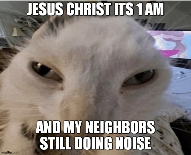 Pluh cat | JESUS CHRIST ITS 1 AM; AND MY NEIGHBORS STILL DOING NOISE | image tagged in g | made w/ Imgflip meme maker