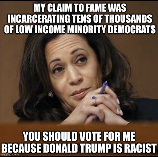 Liberal Logic Strikes Again | MY CLAIM TO FAME WAS INCARCERATING TENS OF THOUSANDS OF LOW INCOME MINORITY DEMOCRATS; YOU SHOULD VOTE FOR ME BECAUSE DONALD TRUMP IS RACIST | image tagged in kamala harris,liberal logic,liberal hypocrisy,donald trump | made w/ Imgflip meme maker