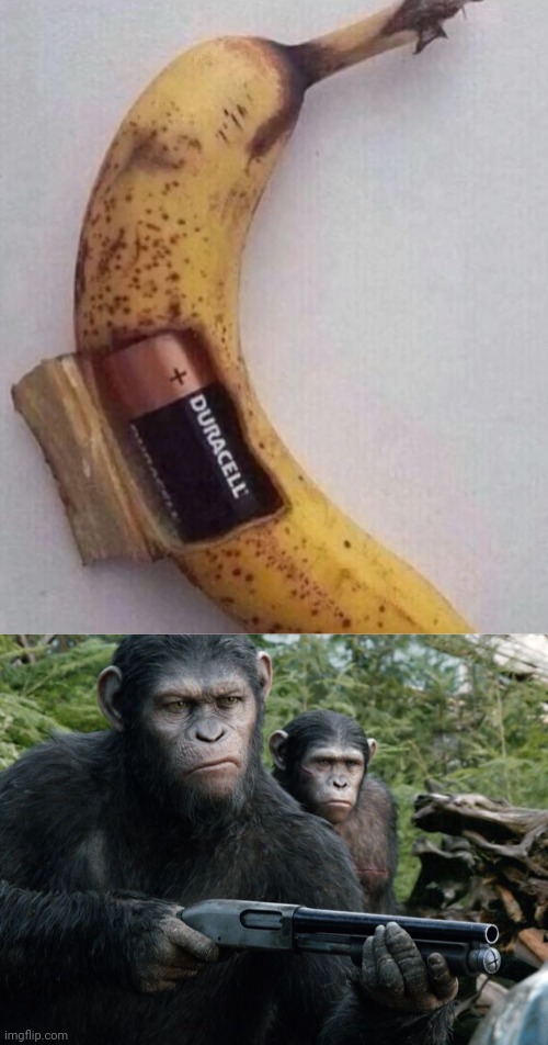 Banana with battery | image tagged in angry monkey,banana,battery,duracell,cursed image,memes | made w/ Imgflip meme maker