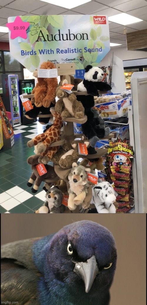 Not stuffed birds | image tagged in the original angry bird,stuffed animals,birds,you had one job,memes,stuffed toys | made w/ Imgflip meme maker