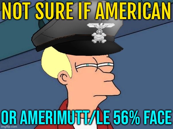 Not Sure If American; Or Amerimutt/Le 56% Face | NOT SURE IF AMERICAN; OR AMERIMUTT/LE 56% FACE | image tagged in futurama nazi fry,american,memes,funny memes,nazis,nazi | made w/ Imgflip meme maker