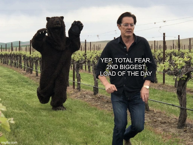 Kyle MacLachlan running away from bear | YEP, TOTAL FEAR.
2ND BIGGEST LOAD OF THE DAY | image tagged in kyle maclachlan running away from bear | made w/ Imgflip meme maker