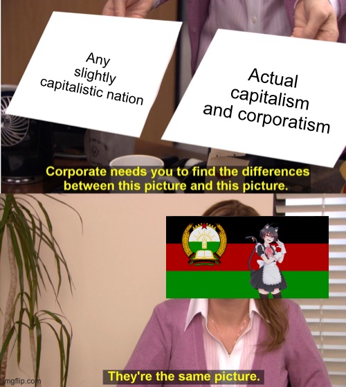 They're The Same Picture | Any slightly capitalistic nation; Actual capitalism and corporatism | image tagged in memes,they're the same picture | made w/ Imgflip meme maker