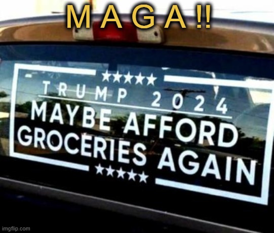 Sounds like a plan! | M A G A !! | image tagged in donald trump,maga,make america great again,inflation,too damn high,license plate | made w/ Imgflip meme maker