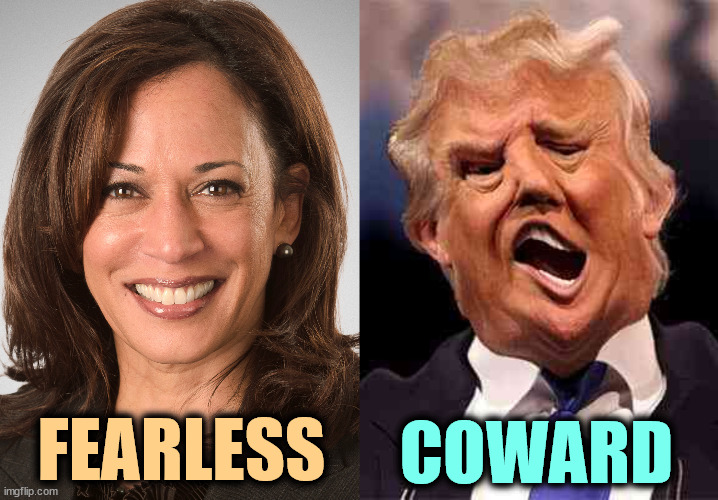 She's not afraid of him. He's afraid of her. | FEARLESS; COWARD | image tagged in kamala harris sane donald trump crazy on acid,kamala harris,brave,fearless,trump,coward | made w/ Imgflip meme maker