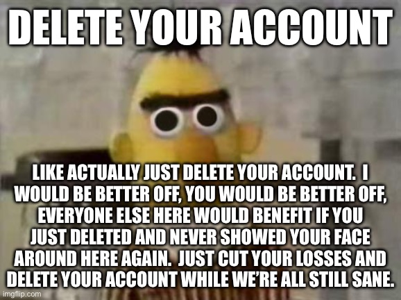 Bert Stare | DELETE YOUR ACCOUNT; LIKE ACTUALLY JUST DELETE YOUR ACCOUNT.  I
WOULD BE BETTER OFF, YOU WOULD BE BETTER OFF,
EVERYONE ELSE HERE WOULD BENEFIT IF YOU
JUST DELETED AND NEVER SHOWED YOUR FACE
AROUND HERE AGAIN.  JUST CUT YOUR LOSSES AND
DELETE YOUR ACCOUNT WHILE WE’RE ALL STILL SANE. | image tagged in bert stare | made w/ Imgflip meme maker