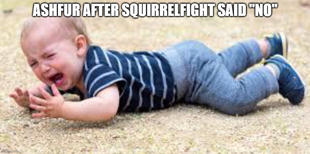 ble | ASHFUR AFTER SQUIRRELFIGHT SAID "NO" | image tagged in toddler crying | made w/ Imgflip meme maker