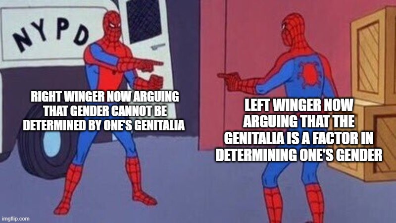 2 wings 1 bird | RIGHT WINGER NOW ARGUING THAT GENDER CANNOT BE DETERMINED BY ONE'S GENITALIA; LEFT WINGER NOW ARGUING THAT THE GENITALIA IS A FACTOR IN DETERMINING ONE'S GENDER | image tagged in spiderman pointing at spiderman | made w/ Imgflip meme maker