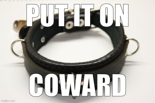 bdsm collar | PUT IT ON; COWARD | image tagged in bdsm collar | made w/ Imgflip meme maker