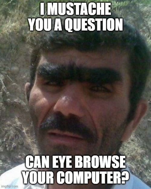 Eyebrows | I MUSTACHE YOU A QUESTION; CAN EYE BROWSE YOUR COMPUTER? | image tagged in eyebrows | made w/ Imgflip meme maker