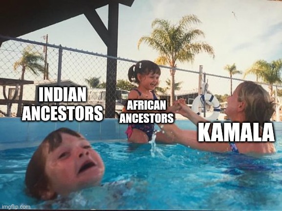 Election time | INDIAN ANCESTORS; AFRICAN ANCESTORS; KAMALA | image tagged in drowning kid in the pool | made w/ Imgflip meme maker