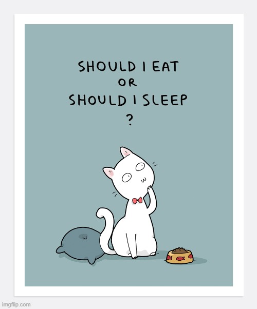 image tagged in memes,comics/cartoons,cats,eat,sleep,hard choice to make | made w/ Imgflip meme maker