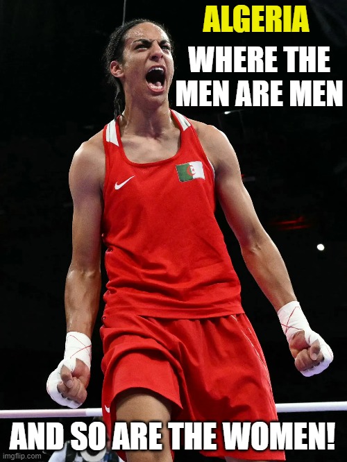 Male Boxer beats up Female Boxer | ALGERIA; WHERE THE MEN ARE MEN; AND SO ARE THE WOMEN! | image tagged in boxing | made w/ Imgflip meme maker