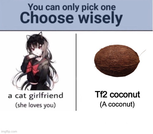 Choose wisely | Tf2 coconut; (A coconut) | image tagged in choose wisely | made w/ Imgflip meme maker