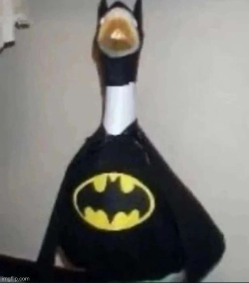 Batduck | image tagged in superduck | made w/ Imgflip meme maker