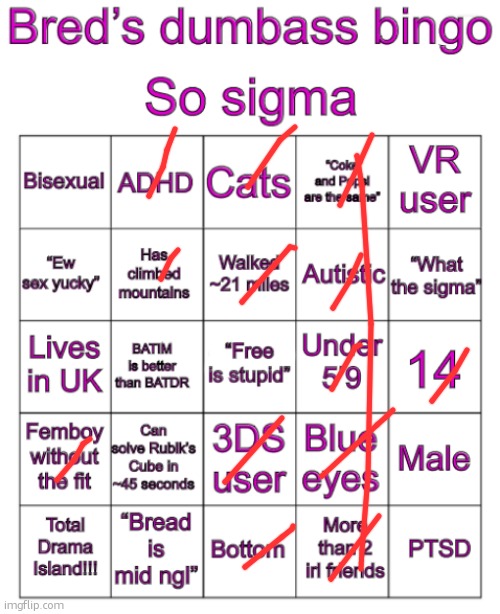 Bred’s stupid bingo | image tagged in bred s stupid bingo | made w/ Imgflip meme maker