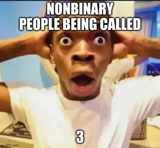 Surprised Black Guy | NONBINARY PEOPLE BEING CALLED 3 | image tagged in surprised black guy | made w/ Imgflip meme maker