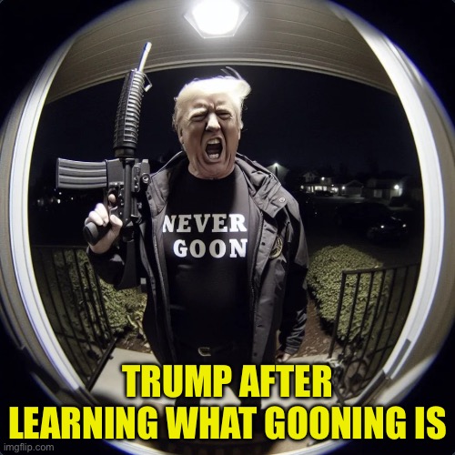 W | TRUMP AFTER LEARNING WHAT GOONING IS | image tagged in never goon | made w/ Imgflip meme maker