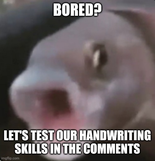 Mogus | BORED? LET'S TEST OUR HANDWRITING SKILLS IN THE COMMENTS | image tagged in poggers fish | made w/ Imgflip meme maker