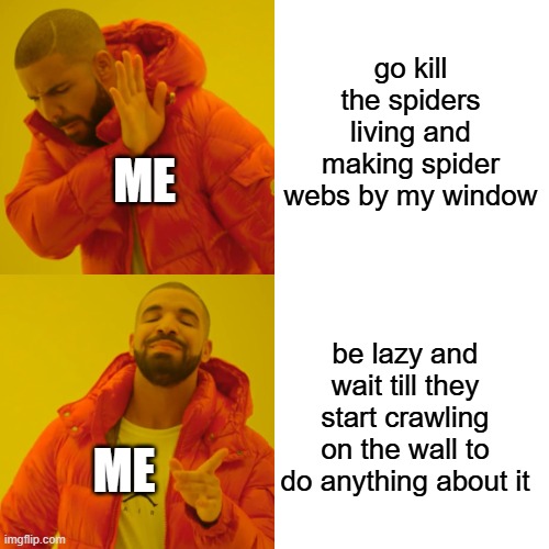 this is kinda true | go kill the spiders living and making spider webs by my window; ME; be lazy and wait till they start crawling on the wall to do anything about it; ME | image tagged in memes,drake hotline bling | made w/ Imgflip meme maker