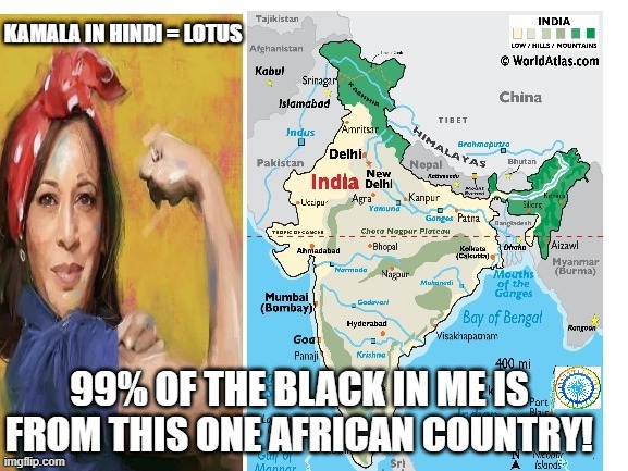 politics | KAMALA IN HINDI = LOTUS | image tagged in political meme | made w/ Imgflip meme maker