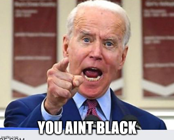 Joe Biden no malarkey | YOU AINT BLACK | image tagged in joe biden no malarkey | made w/ Imgflip meme maker