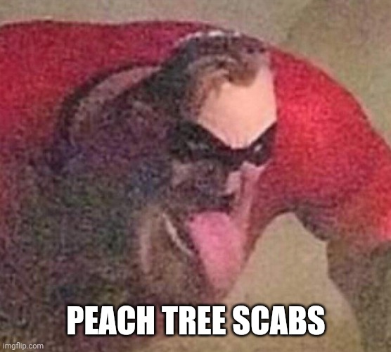 Mr. Incredible tongue | PEACH TREE SCABS | image tagged in mr incredible tongue | made w/ Imgflip meme maker
