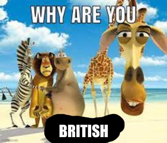 why are you white? | BRITISH | image tagged in why are you white | made w/ Imgflip meme maker