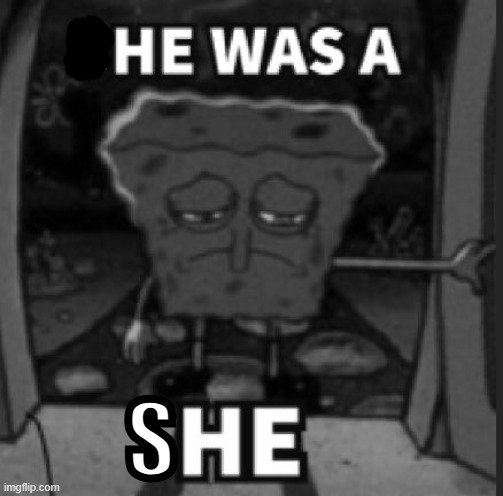 She was a he | S | image tagged in she was a he | made w/ Imgflip meme maker