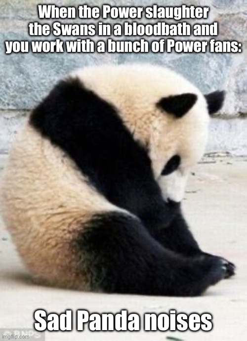 Power surge | When the Power slaughter the Swans in a bloodbath and you work with a bunch of Power fans:; Sad Panda noises | image tagged in sad panda,slaughter,power | made w/ Imgflip meme maker