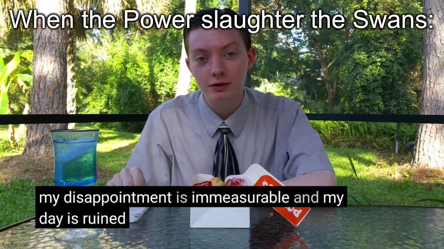 My Disappointment Is Immeasurable | When the Power slaughter the Swans: | image tagged in my disappointment is immeasurable | made w/ Imgflip meme maker