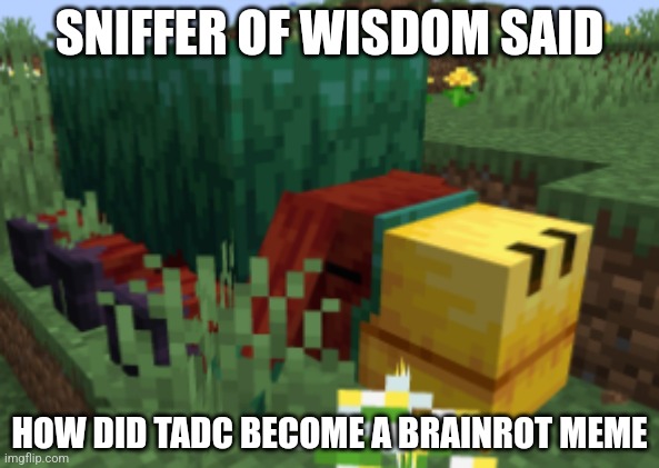 Make tadc original, the content farms is making tadc to be rotten | SNIFFER OF WISDOM SAID; HOW DID TADC BECOME A BRAINROT MEME | image tagged in anti content farms | made w/ Imgflip meme maker