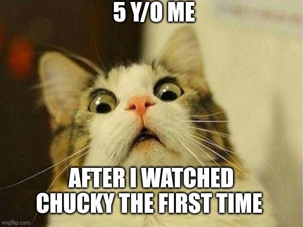 Let's say I threw away alot of my red head dolls | 5 Y/O ME; AFTER I WATCHED CHUCKY THE FIRST TIME | image tagged in memes,scared cat | made w/ Imgflip meme maker