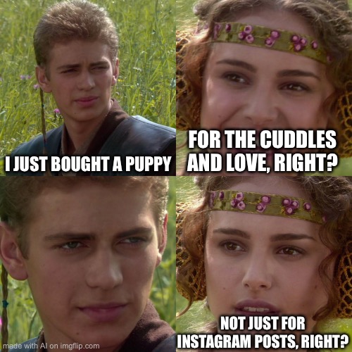 Anakin Padme 4 Panel | I JUST BOUGHT A PUPPY; FOR THE CUDDLES AND LOVE, RIGHT? NOT JUST FOR INSTAGRAM POSTS, RIGHT? | image tagged in anakin padme 4 panel,gifs,pie charts | made w/ Imgflip meme maker