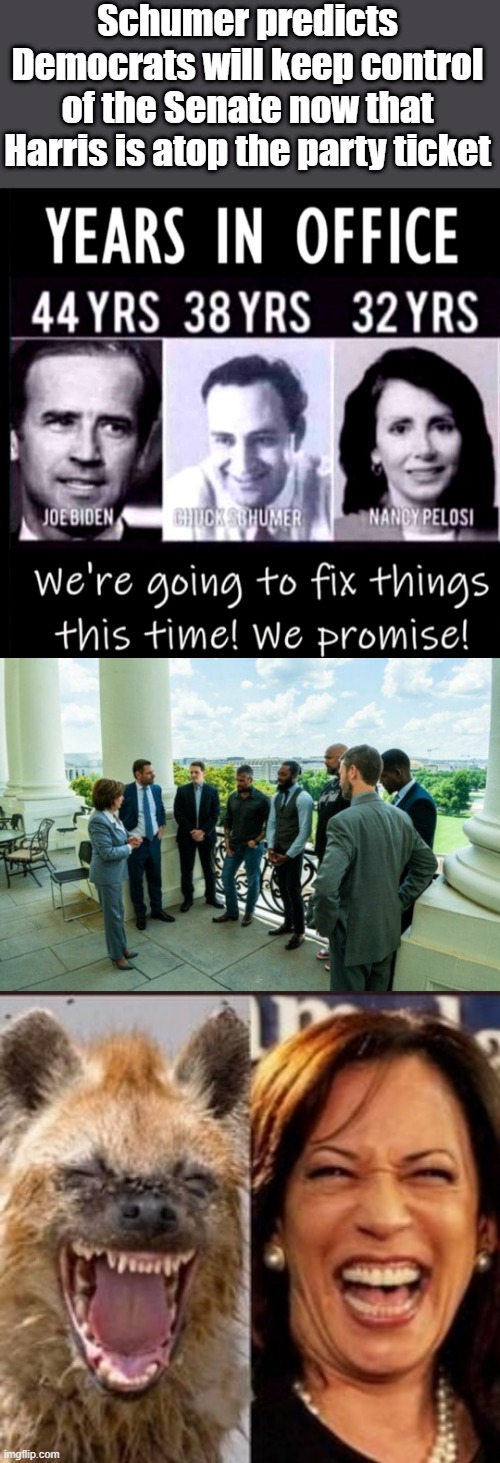 ADD 8 years to those numbers ,its a old meme. | Schumer predicts Democrats will keep control of the Senate now that Harris is atop the party ticket | made w/ Imgflip meme maker