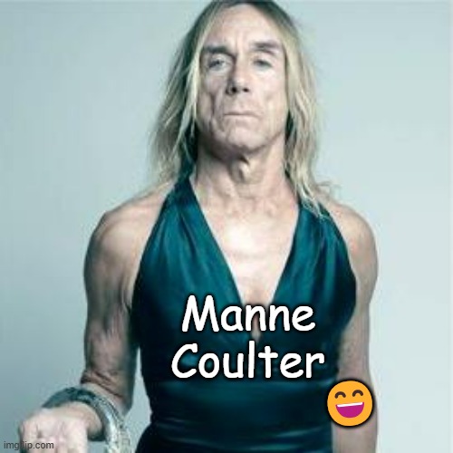 Ann | Manne Coulter ? | image tagged in ann | made w/ Imgflip meme maker