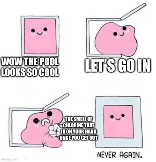 NONONONONO | WOW THE POOL LOOKS SO COOL; LET’S GO IN; THE SMELL OF CHLORINE THAT IS ON YOUR HAND ONCE YOU GET OUT | image tagged in never again | made w/ Imgflip meme maker