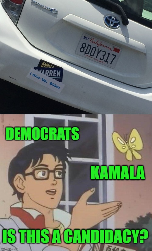 Being Told Who to Vote For | DEMOCRATS; KAMALA; IS THIS A CANDIDACY? | image tagged in memes,is this a pigeon | made w/ Imgflip meme maker